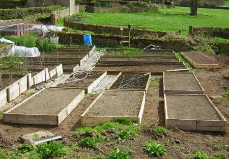 new_raised_beds[1]